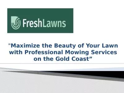 Maximize the Beauty of Your Lawn with Professional Mowing Services Gold Coast