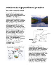 Studies on fjord populations of grenadiers
