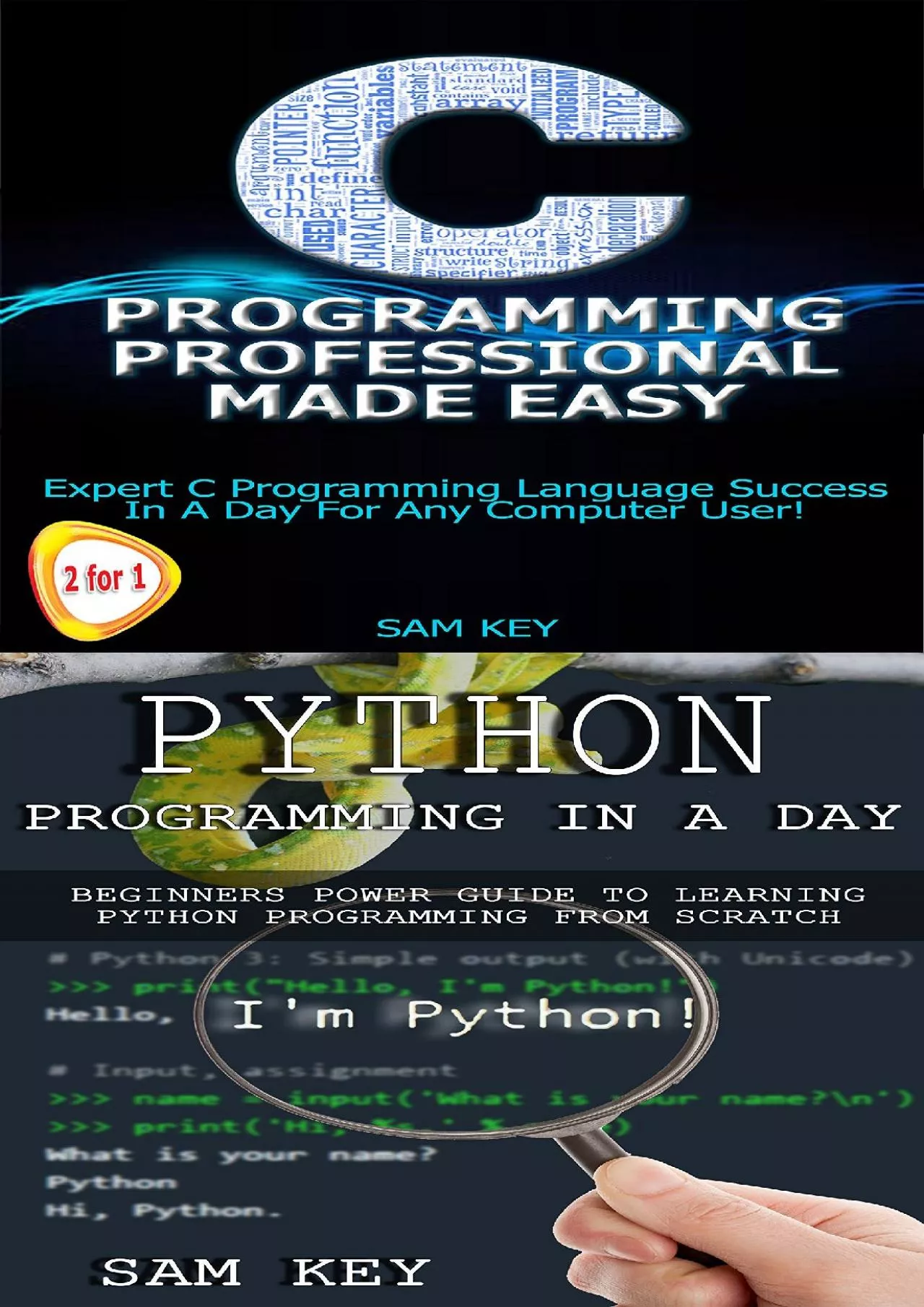 [FREE]-Programming 16: Python Programming In A Day & C Programming Professional Made Easy