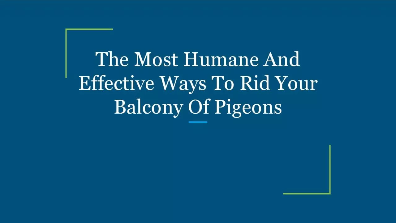 PDF-The Most Humane And Effective Ways To Rid Your Balcony Of Pigeons