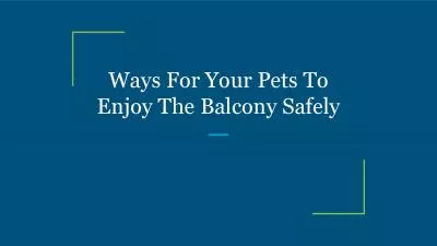 Ways For Your Pets To Enjoy The Balcony Safely