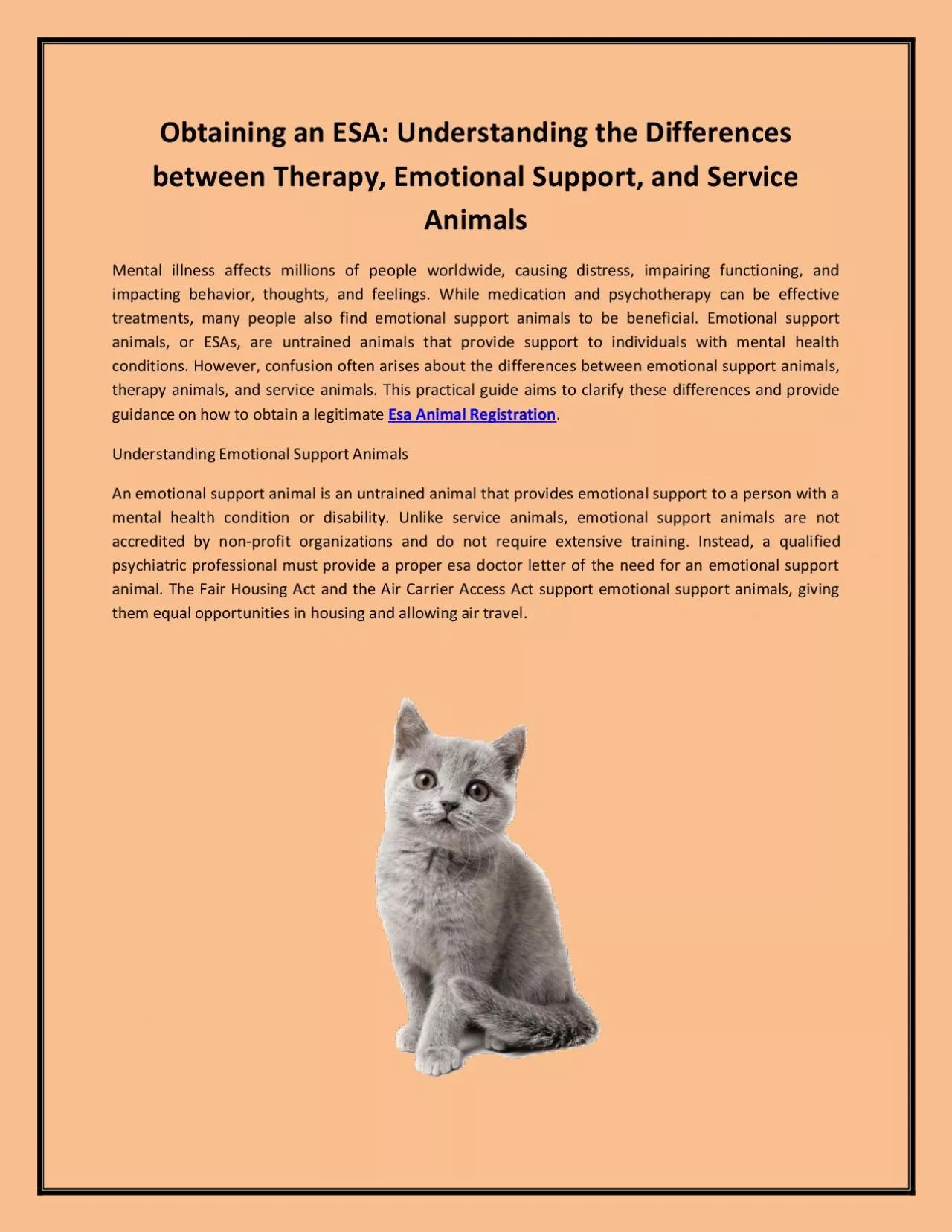 Obtaining an ESA: Understanding the Differences between Therapy, Emotional Support, and