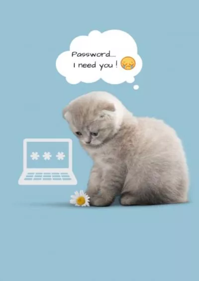 [BEST]-Cat Password Book | Password/Contact Book | Alphabetical Password Tracker: Internet