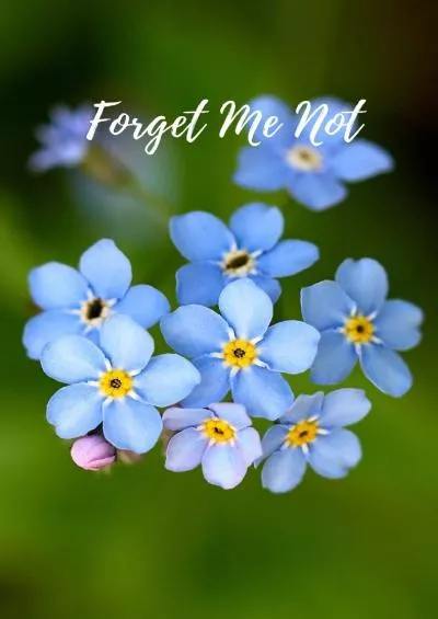 [READ]-FORGET ME NOT: Computer Password Book With Tabs. Password Organizer Large Print