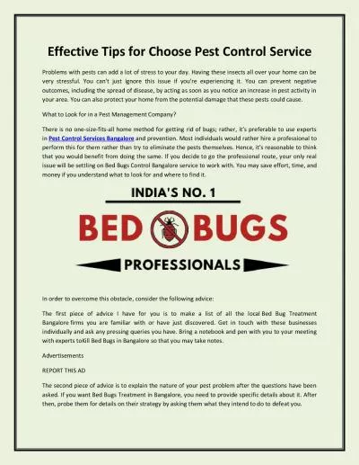 Effective Tips for Choose Pest Control Service