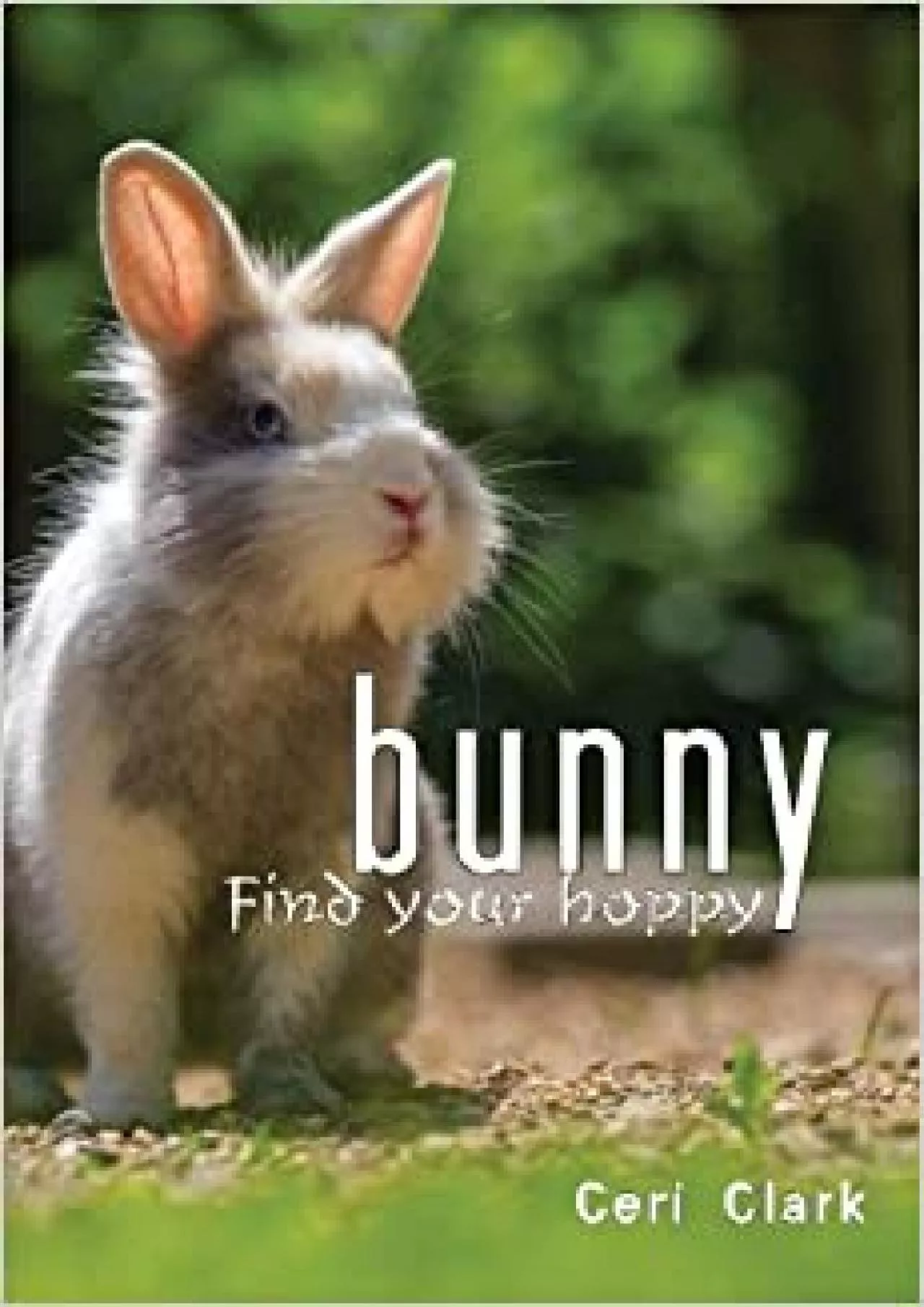 (BOOK)-Bunny Find Your Hoppy A disguised password book and personal internet address log