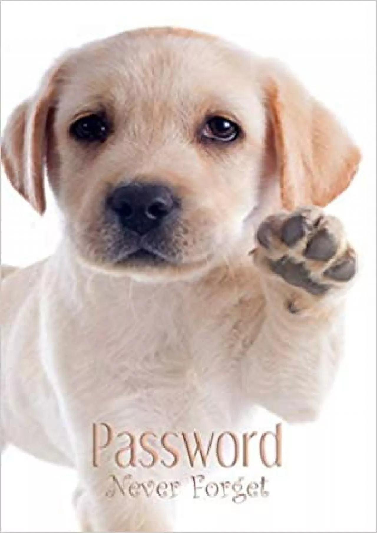 (EBOOK)-Password Never Forget Internet Password Organizer with Alphabetical Tabs | Usernames