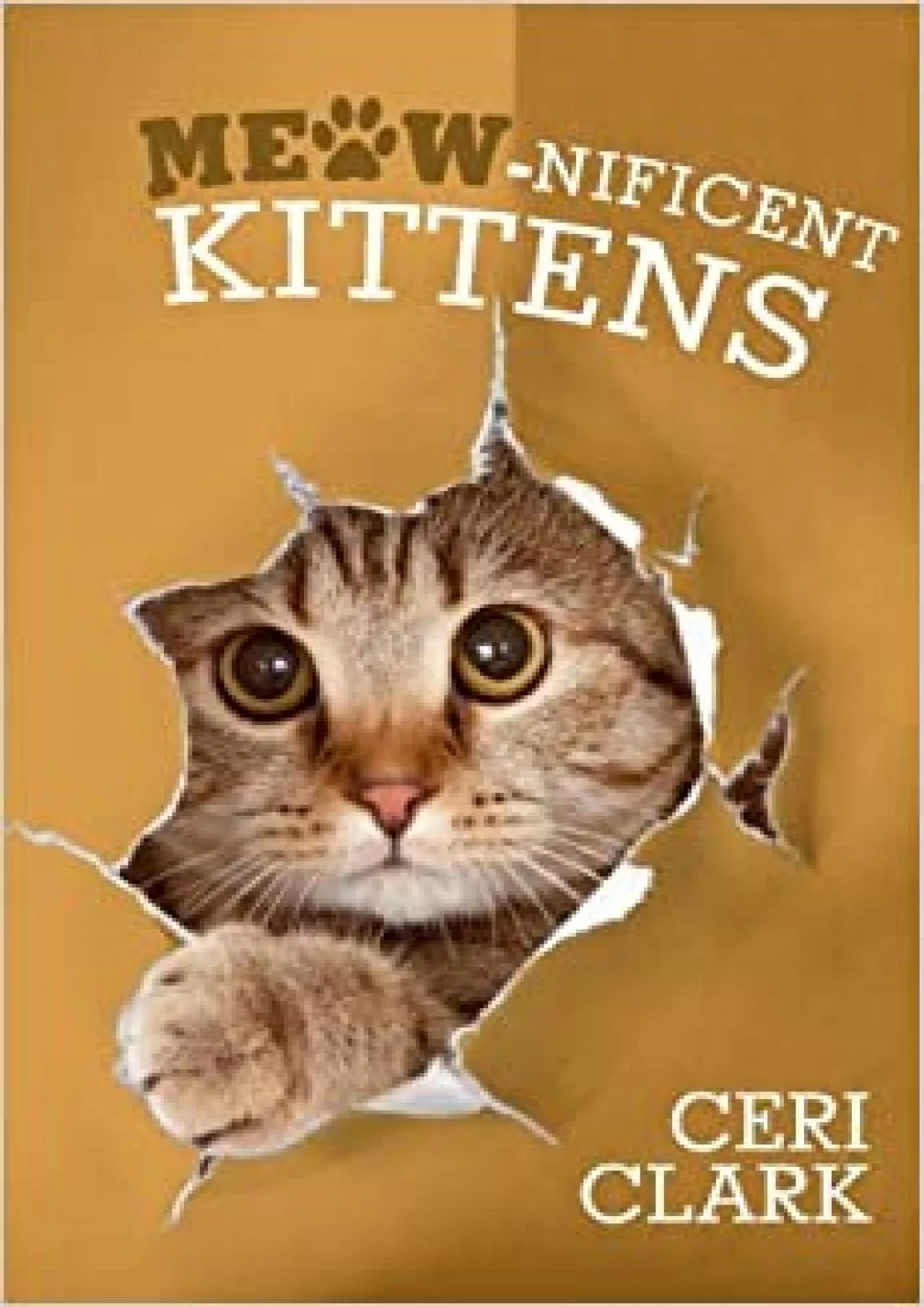 PDF-(BOOS)-Meow-nificent Kittens The Secret Personal Internet Address & Password Log Book