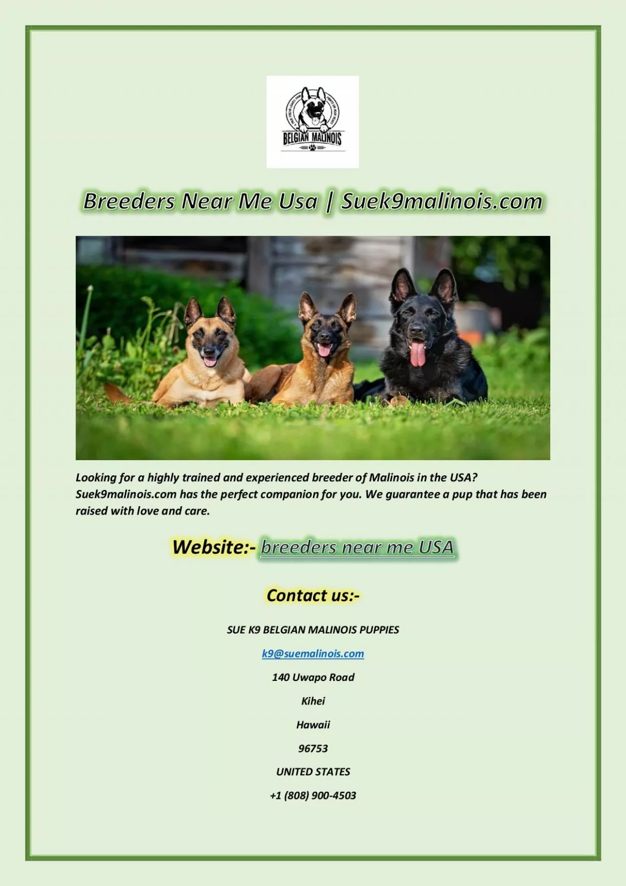 PDF-Breeders Near Me Usa | Suek9malinois.com