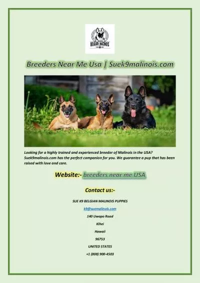 Breeders Near Me Usa | Suek9malinois.com