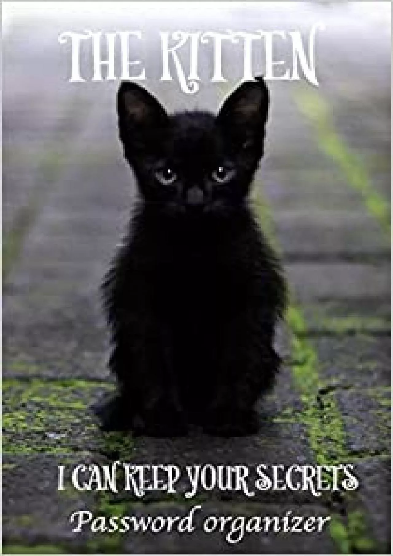 PDF-(BOOK)-THE KITTEN I CAN KEEP YOUR SECRETS PASSWORD ORGANIZER Password Organizer password