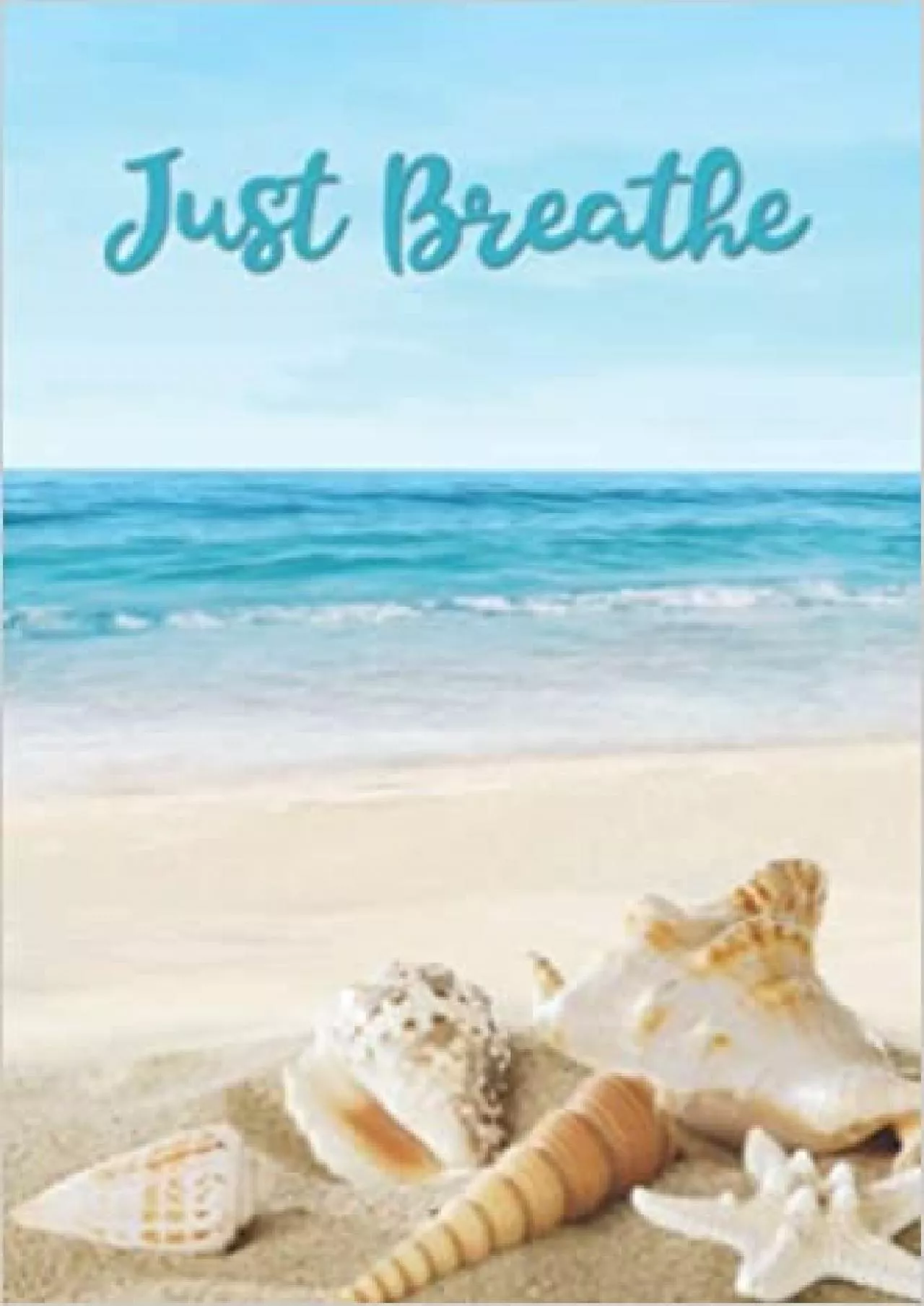 (BOOS)-Just Breathe Ocean Theme Login Password Book - Small Internet Password Organizer