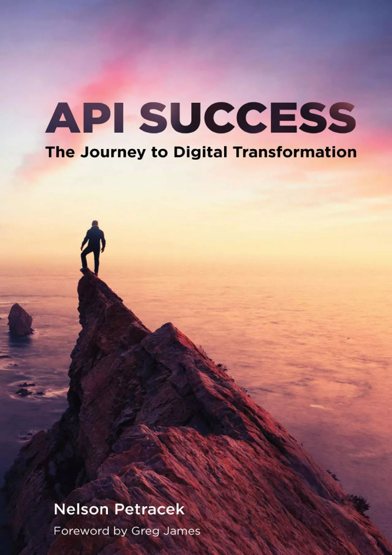 PDF-(EBOOK)-API Success: The Journey to Digital Transformation