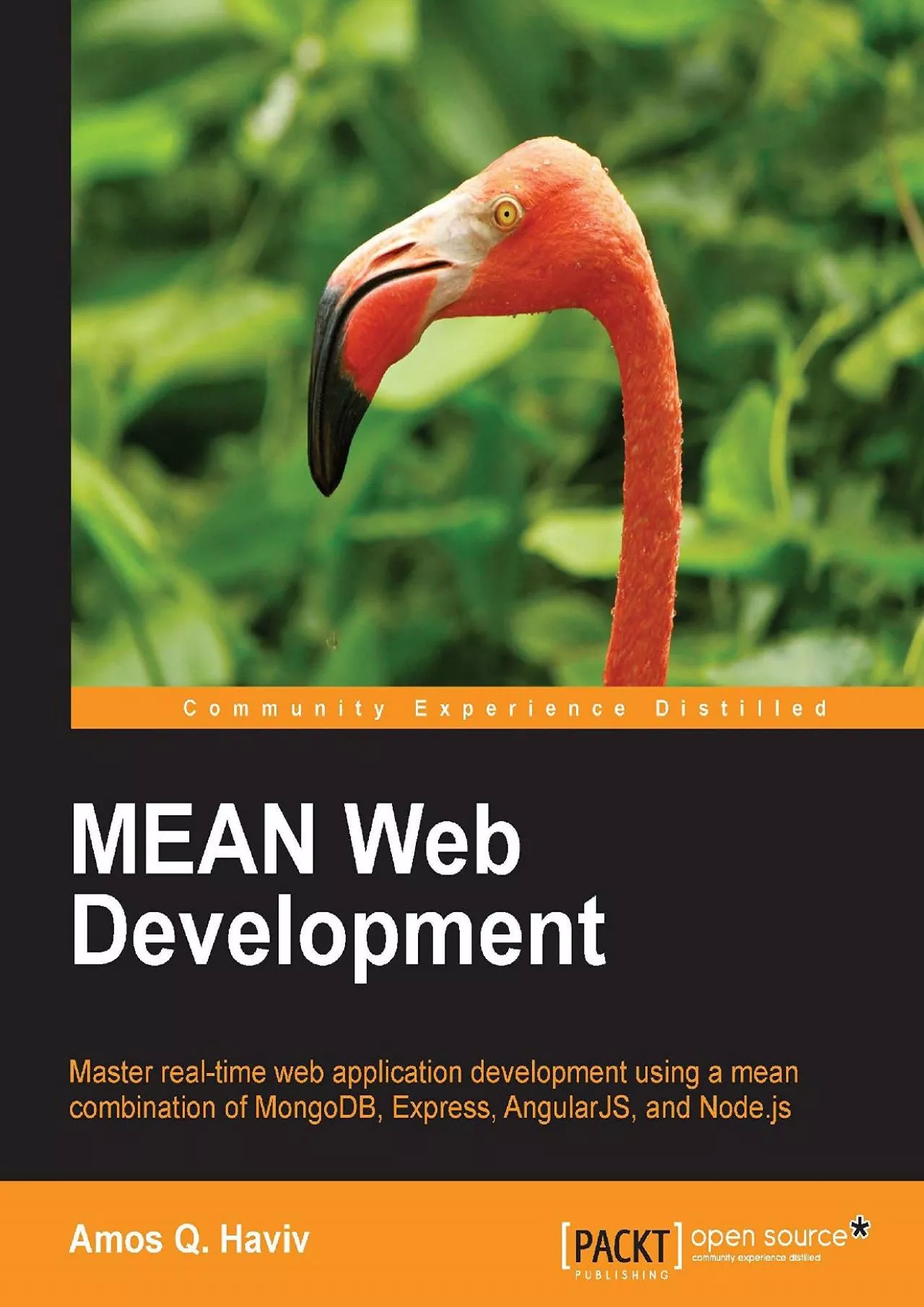 PDF-(BOOK)-MEAN Web Development