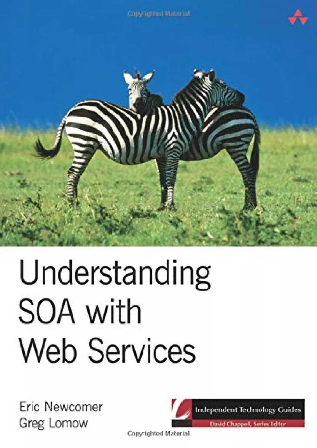 PDF-(EBOOK)-Understanding SOA with Web Services