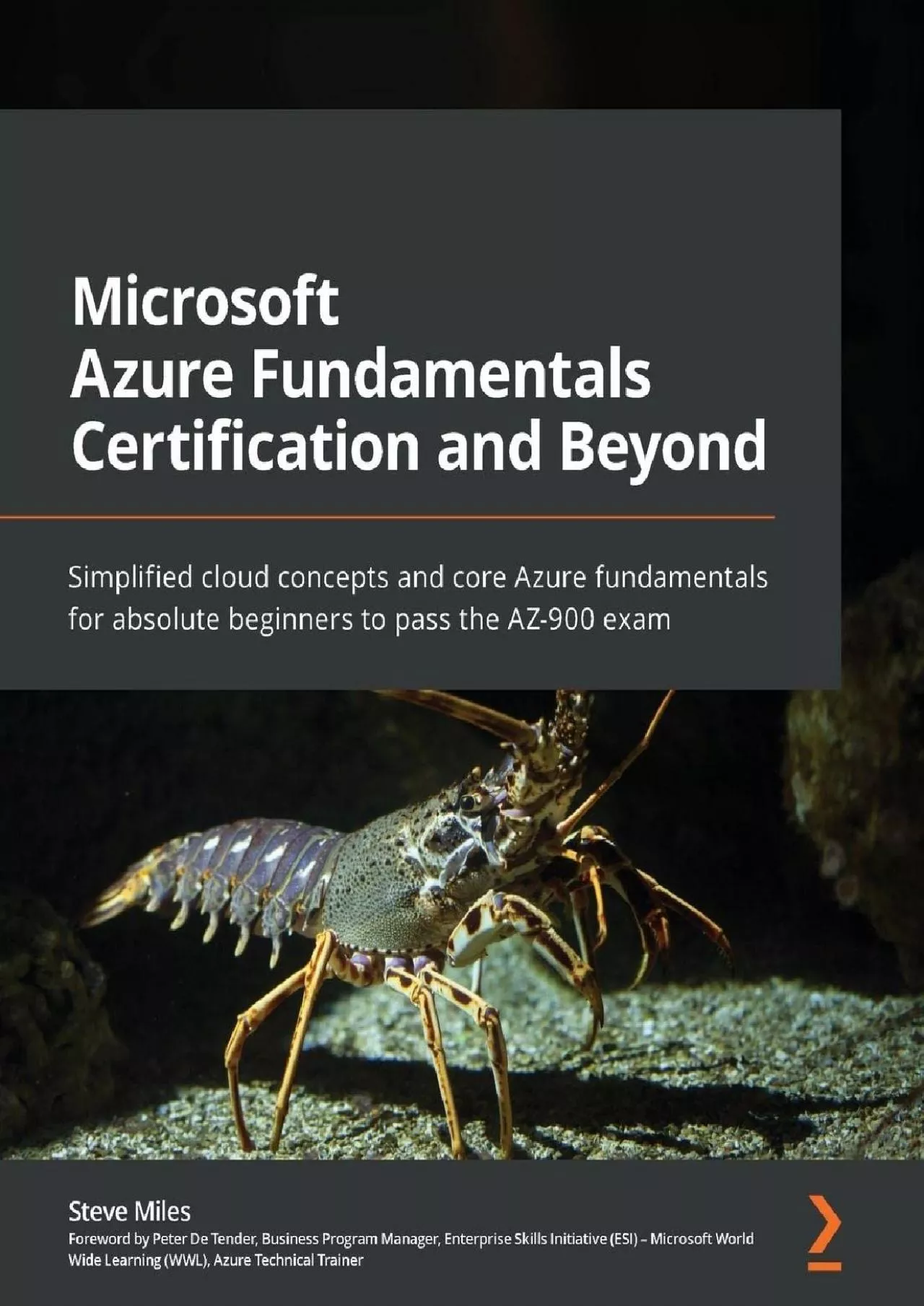 PDF-[BEST]-Microsoft Azure Fundamentals Certification and Beyond: Simplified cloud concepts