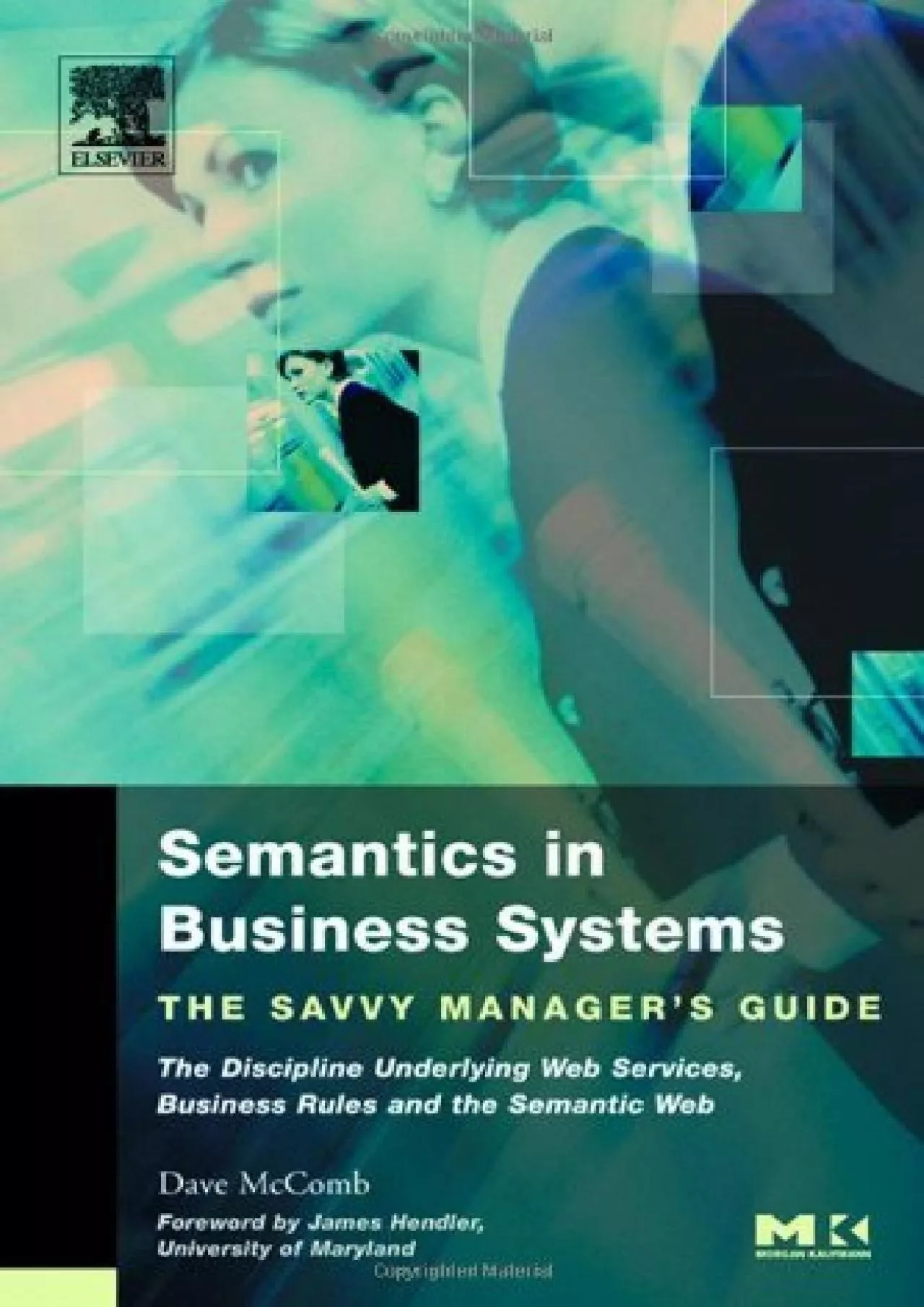 (DOWNLOAD)-Semantics in Business Systems: The Savvy Manager\'s Guide (The Savvy Manager\'s