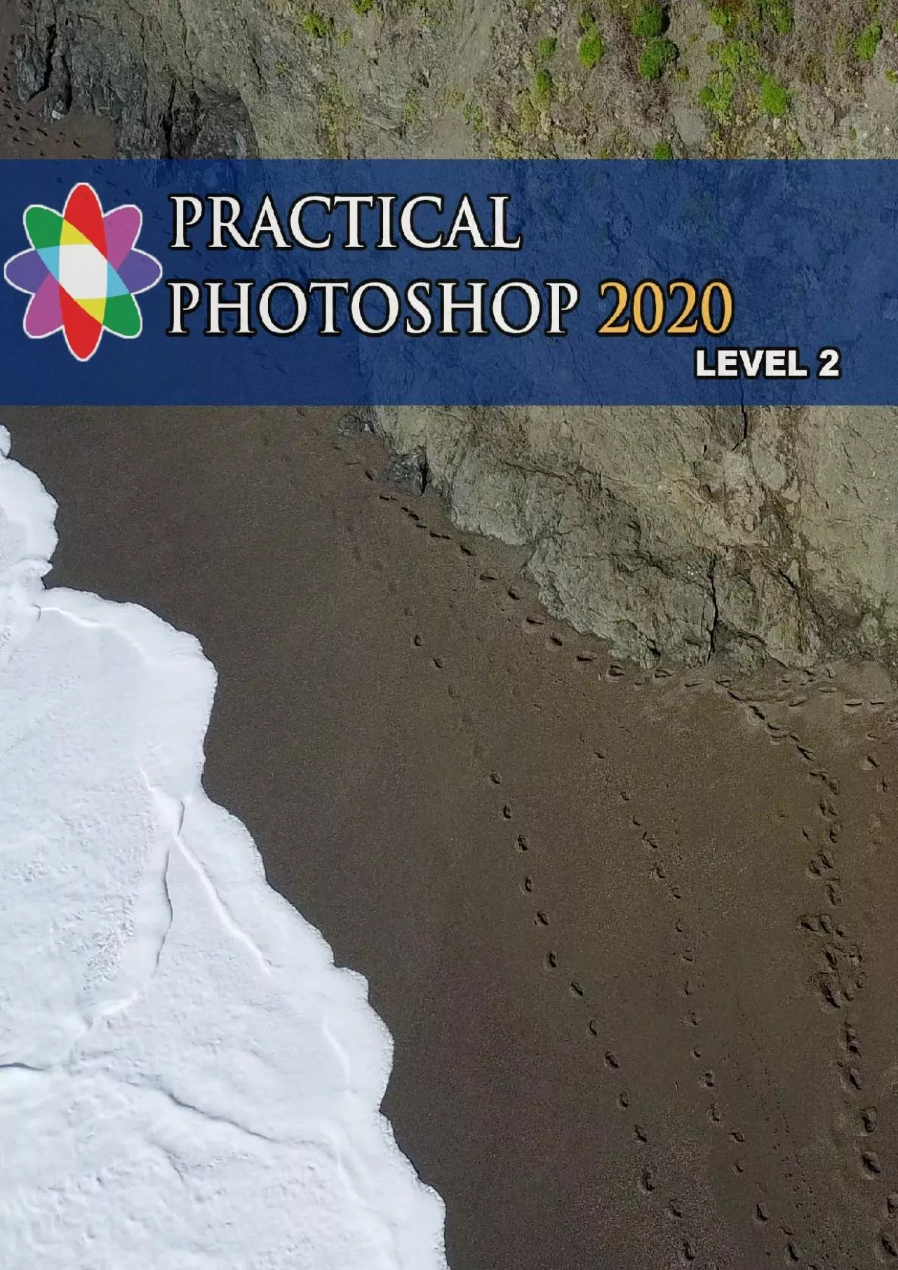 PDF-(DOWNLOAD)-Practical Photoshop 2020 Level 2