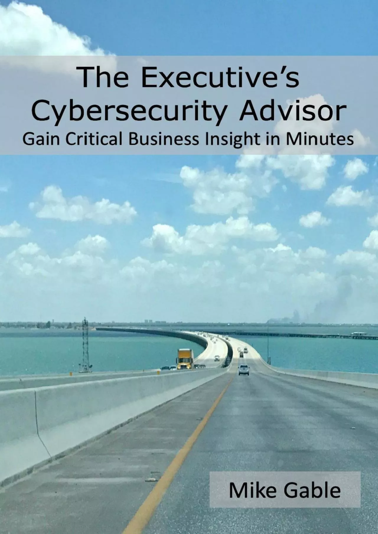 PDF-[eBOOK]-The Executive\'s Cybersecurity Advisor: Gain Critical Business Insight in Minutes