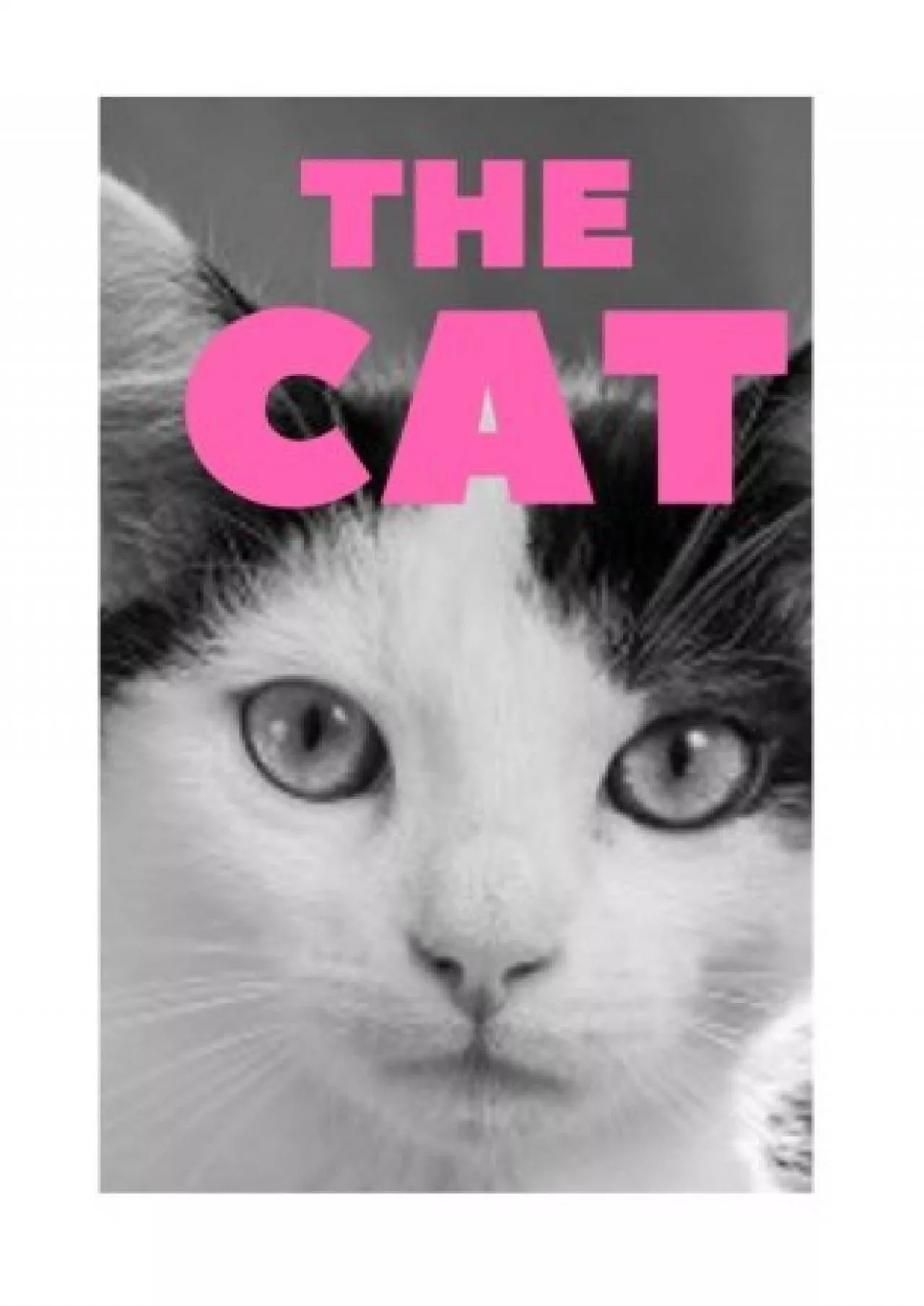 [READING BOOK]-The Cat: Password Book , Password Logbook, Password Keeper, Password Small