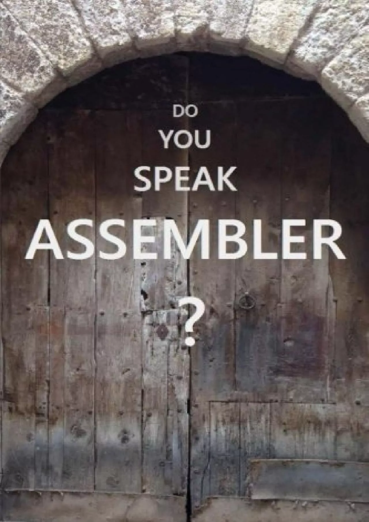 PDF-[PDF]-Do You Speak Assembler?: IBM Assembler Language In Examples