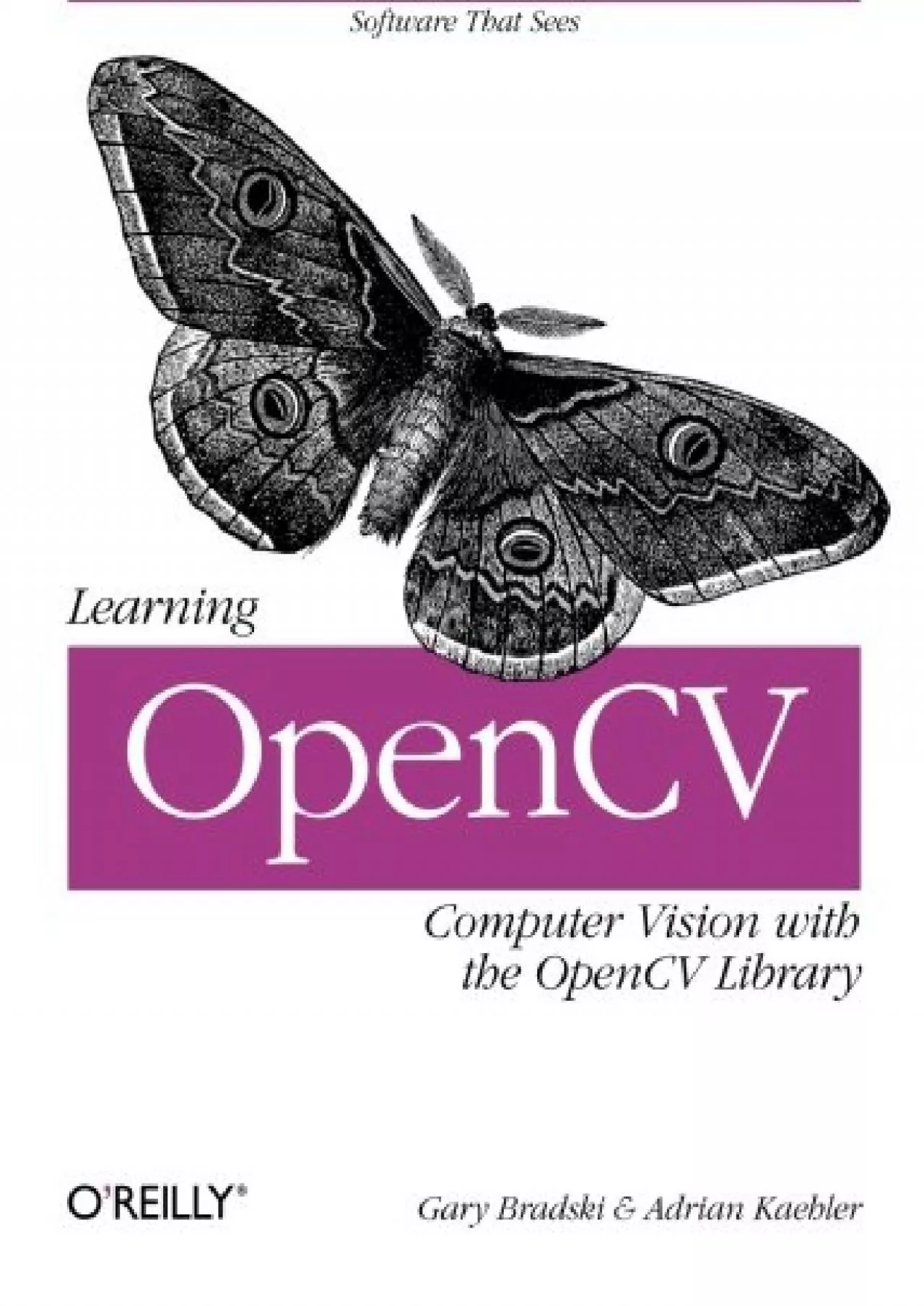 PDF-[PDF]-Learning OpenCV: Computer Vision with the OpenCV Library