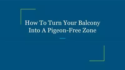 How To Turn Your Balcony Into A Pigeon-Free Zone