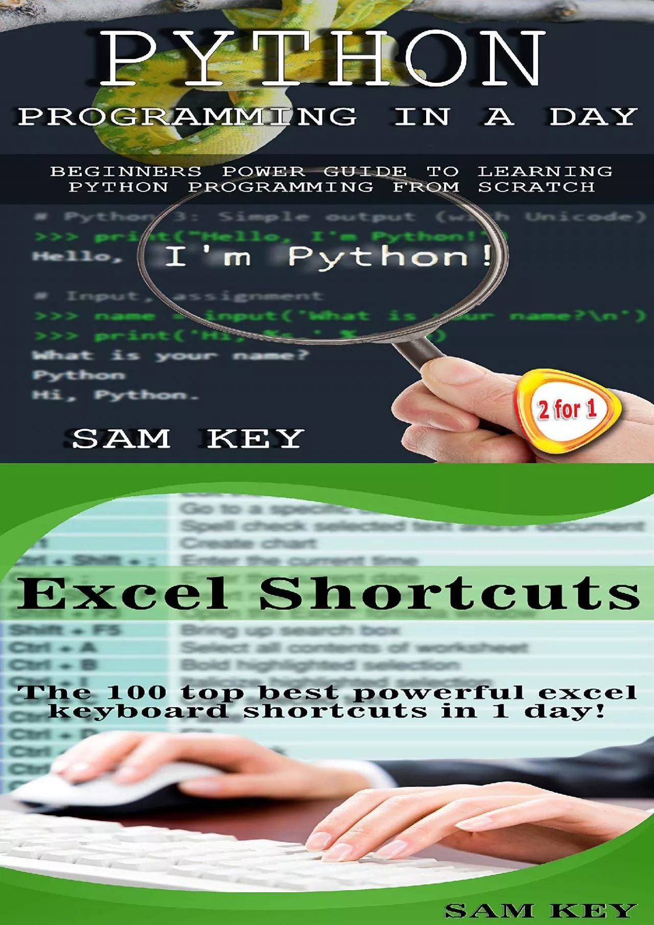 [FREE]-Programming 31: Python Programming In A Day  Excel Shortcuts (Python Programming,