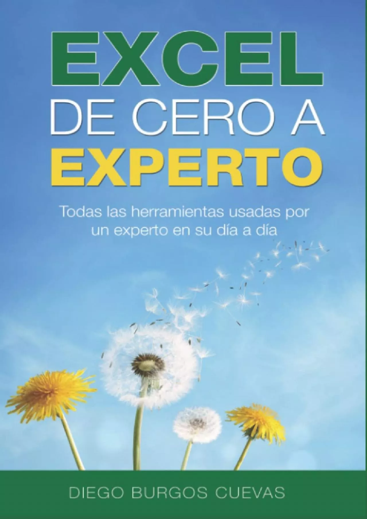 PDF-(BOOS)-Excel de cero a experto: todas las herramientas usadas por un experto en su día