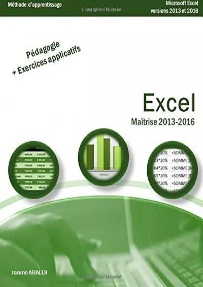 (EBOOK)-Excel Maîtrise 2013 - 2016 (French Edition)