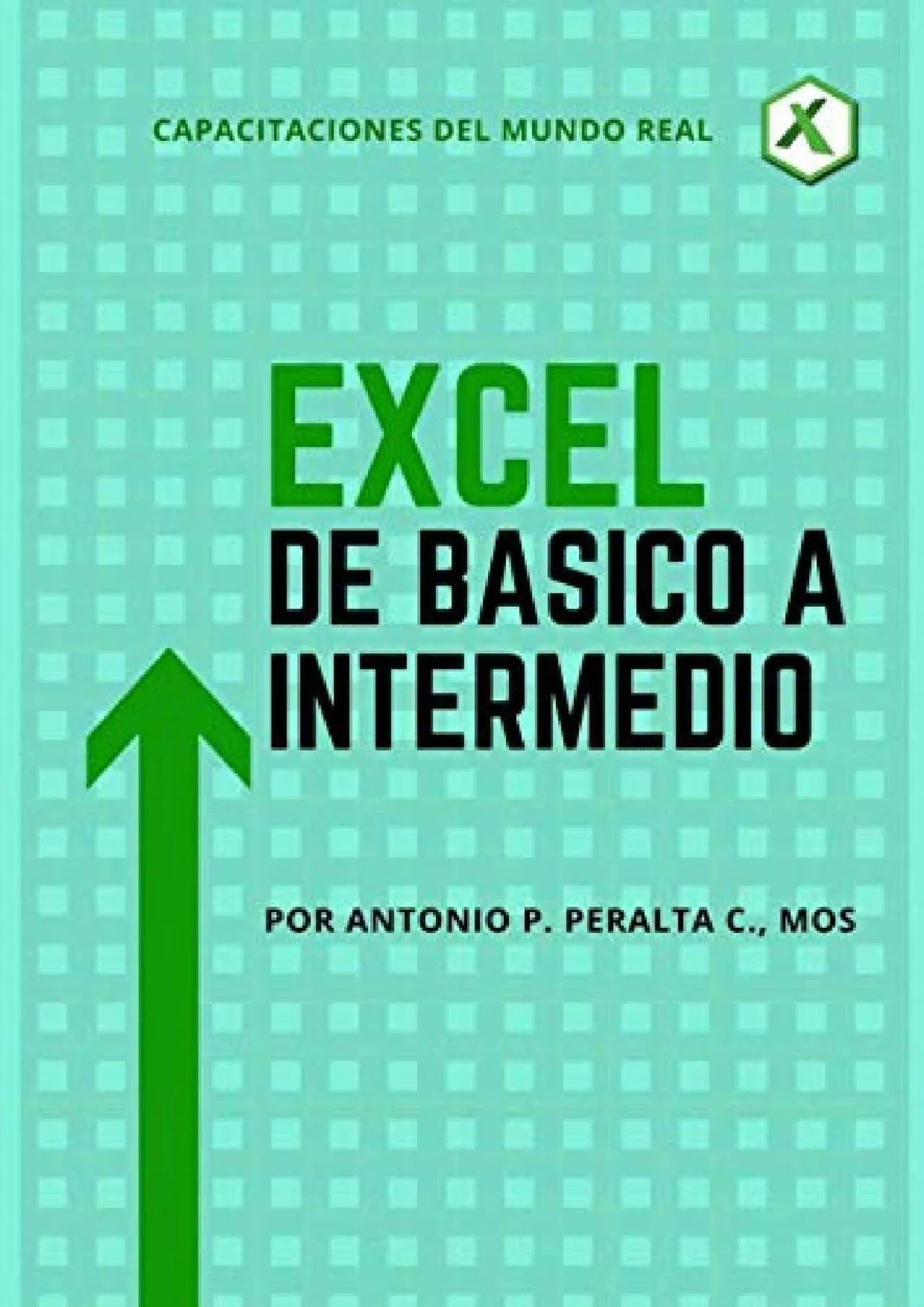 PDF-(EBOOK)-EXCEL De Básico a Intermedio (Spanish Edition)