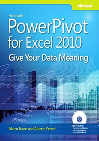 (BOOK)-Microsoft PowerPivot for Excel 2010: Give Your Data Meaning (Business Skills)