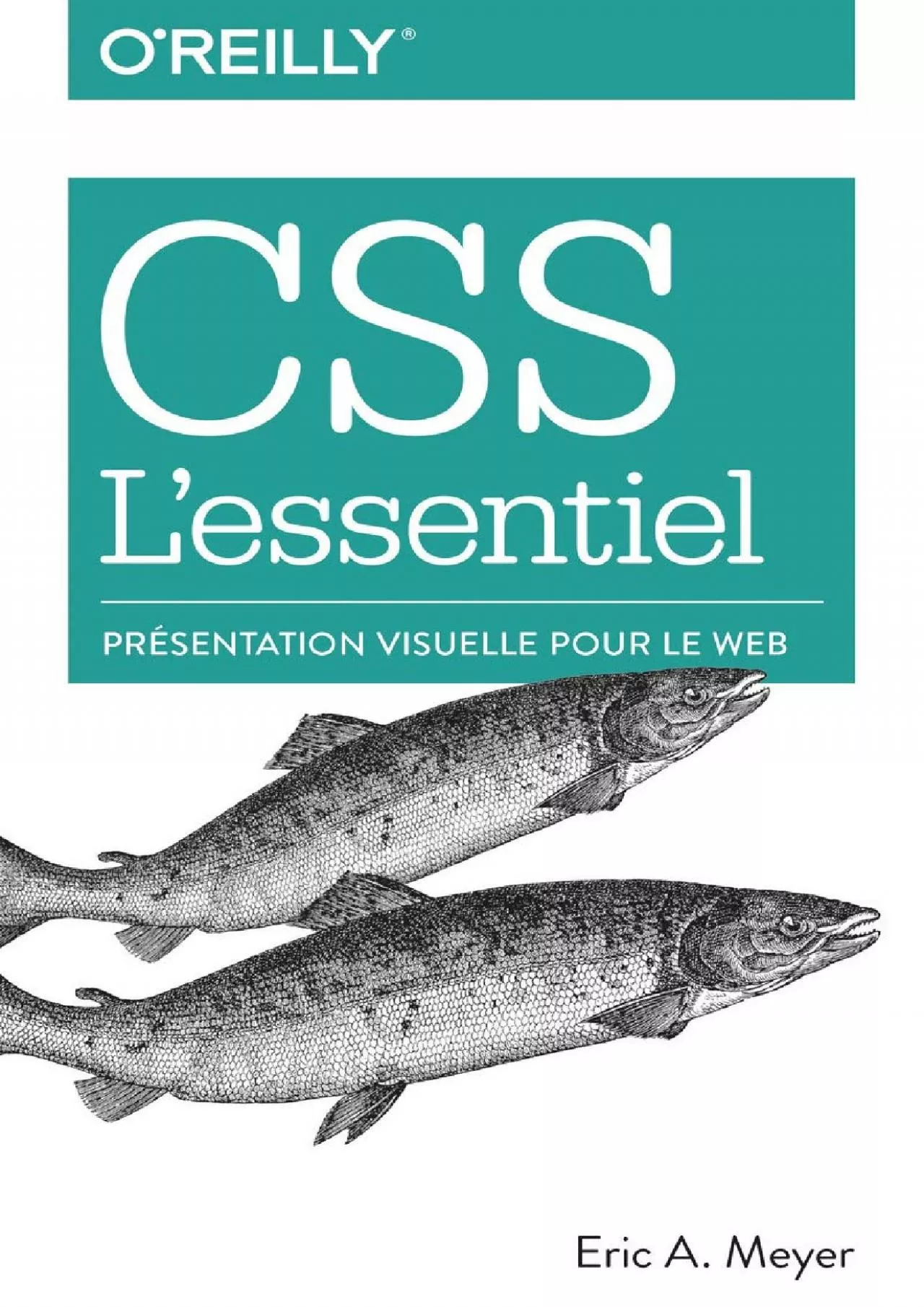 PDF-[BEST]-CSS l\'essentiel - présentation visuelle pour le web