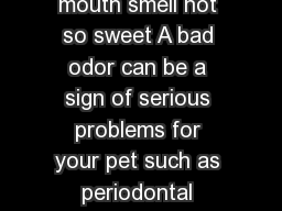 Bad breath halitosis in pets Does your pets mouth smell not so sweet A bad odor can be