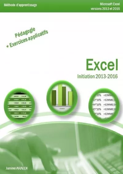 (READ)-Excel Initiation 2013 - 2016 (French Edition)