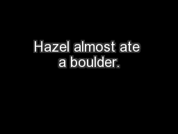 Hazel almost ate a boulder.