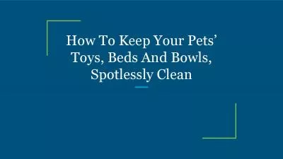 How To Keep Your Pets’ Toys, Beds And Bowls, Spotlessly Clean