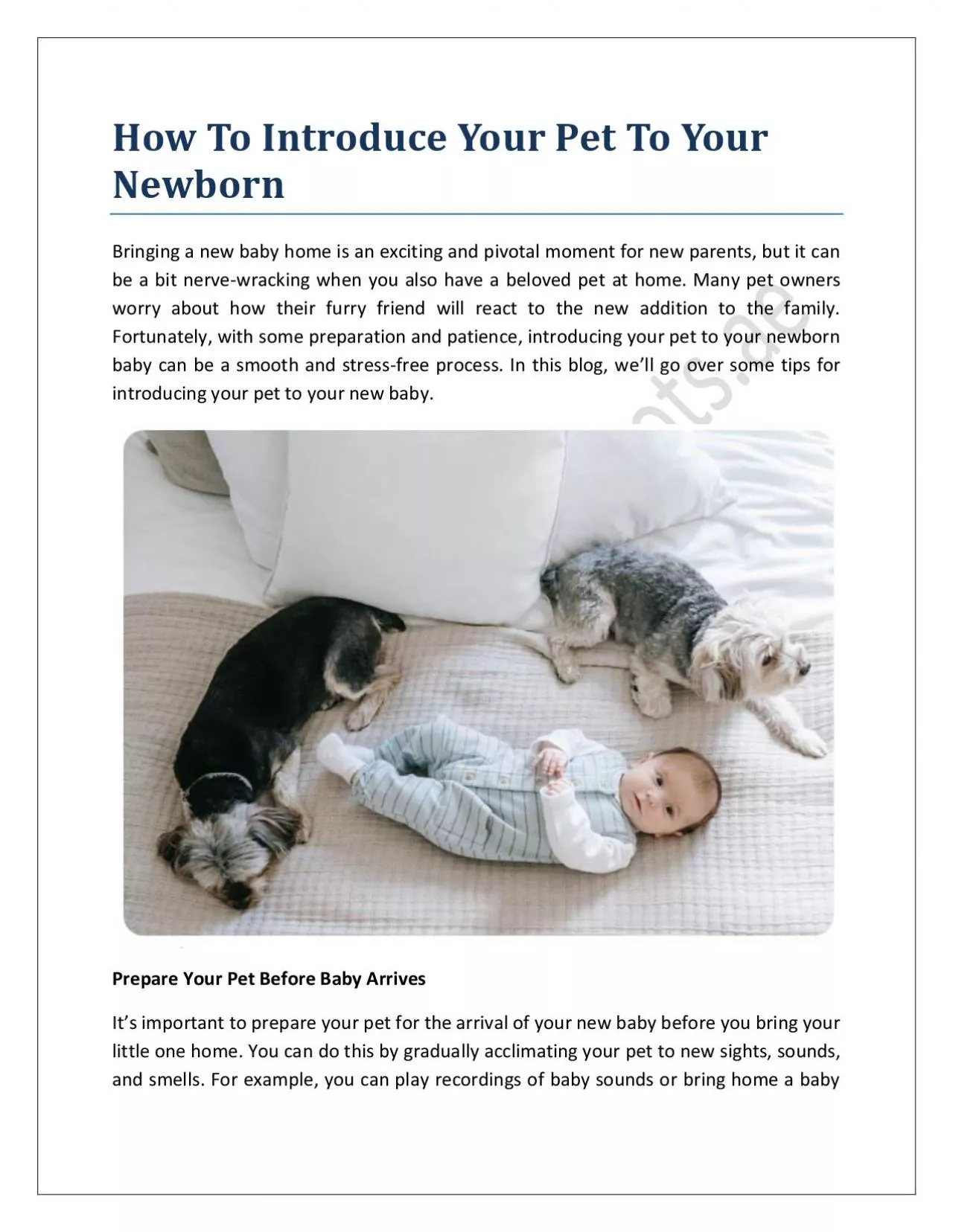 How To Introduce Your Pet To Your Newborn