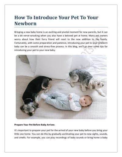 How To Introduce Your Pet To Your Newborn