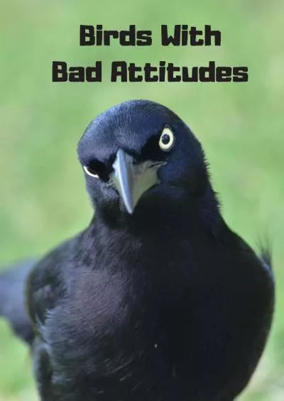 (BOOS)-Birds With Bad Attitudes: Password Logbook With Encryption Cipher (A True Discreet Password Keeper, No Words On Spine)