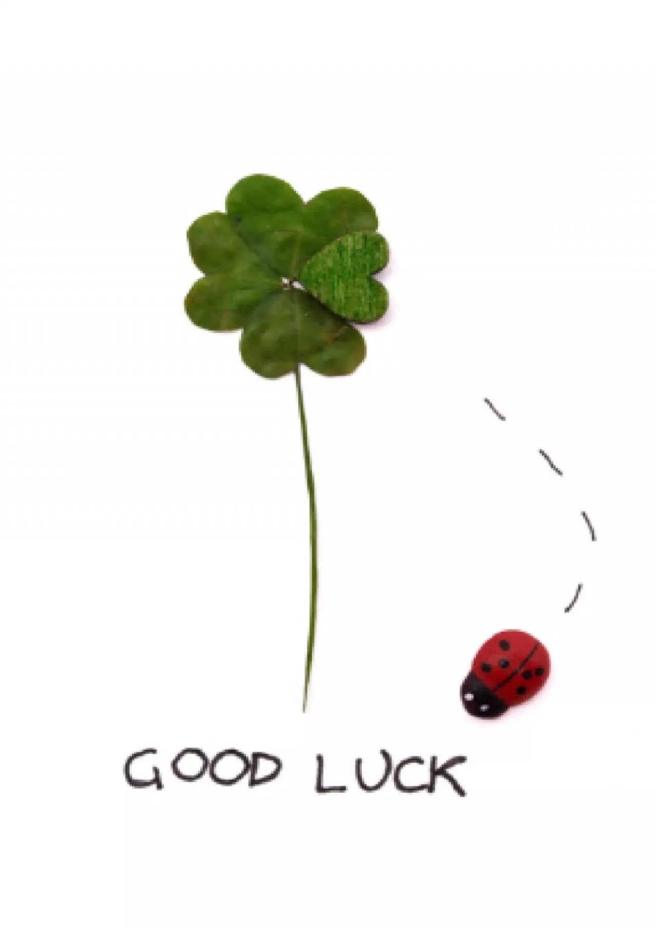 PDF-(READ)-Good Luck - Il Quaderno delle Password Tascabile: Un taccuino piccolo per smemorati