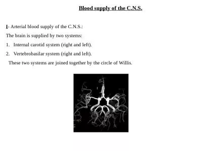 Blood supply of the C.N.S.