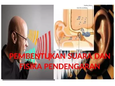 PEMBENTUKAN SUARA DAN FISIKA PENDENGARAN