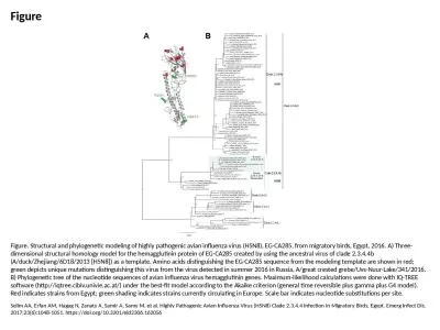 Figure Figure. Structural and phylogenetic modeling of highly pathogenic avian influenza