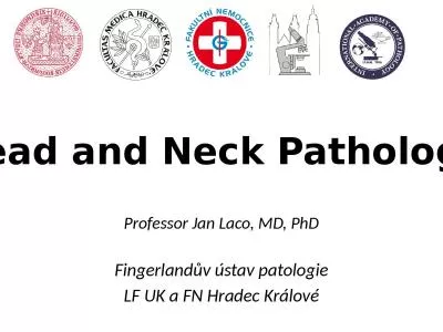 Head and Neck Pathology Professor Jan Laco, MD, PhD