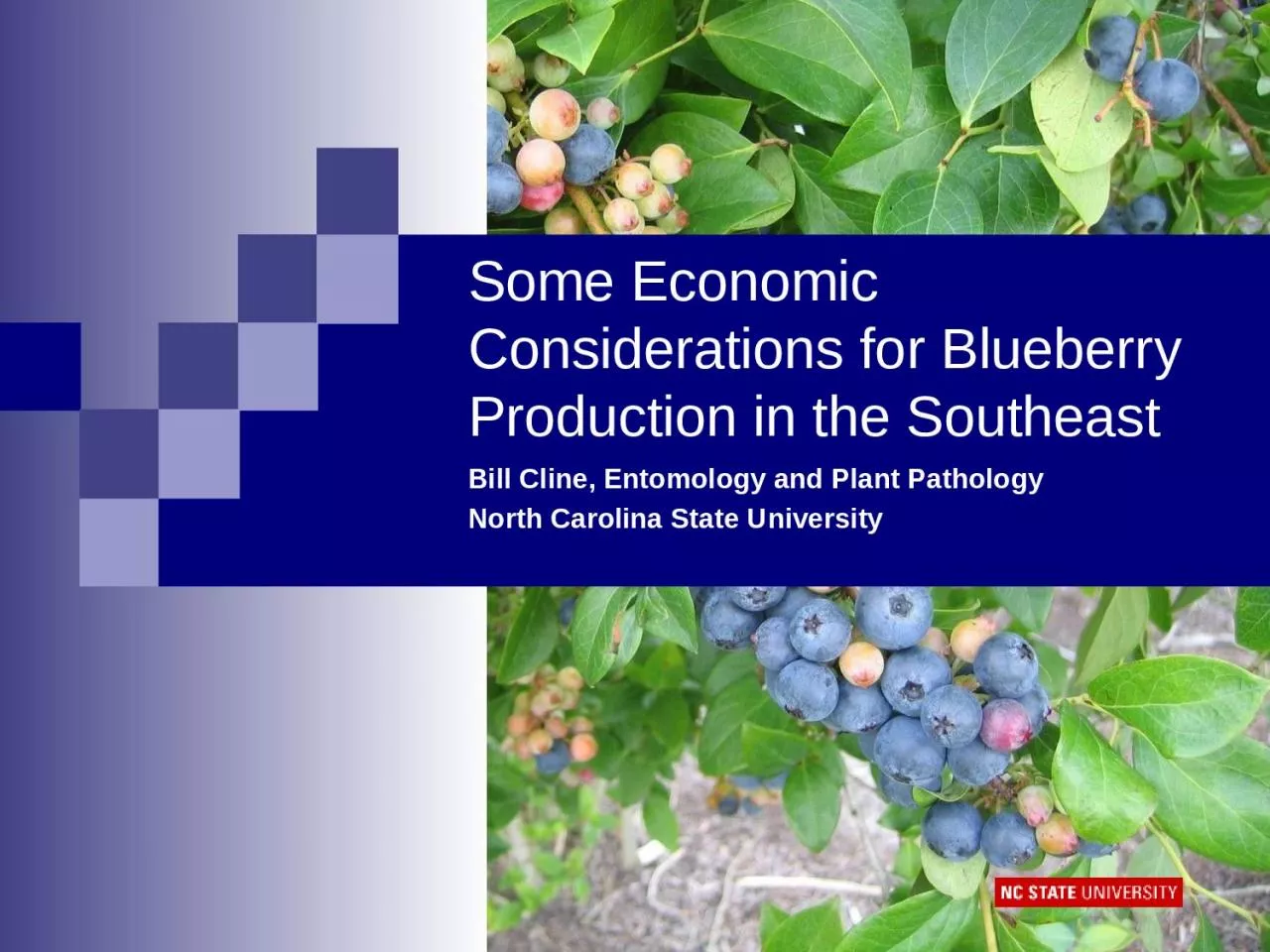 PPT-Some Economic Considerations for Blueberry Production in the Southeast