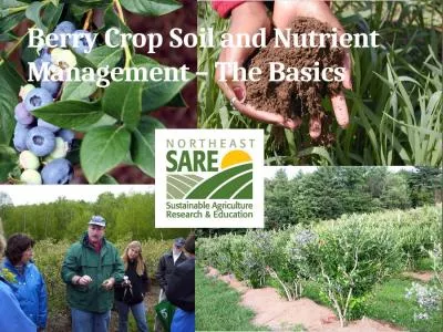 Berry Crop Soil and Nutrient Management – The Basics