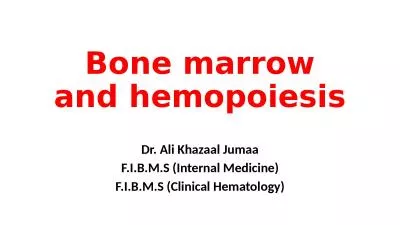 Bone marrow and hemopoiesis