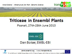 Dan  Bolser, EMBL-EBI Triticeae