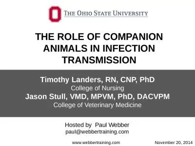 THE ROLE OF COMPANION ANIMALS IN INFECTION TRANSMISSION